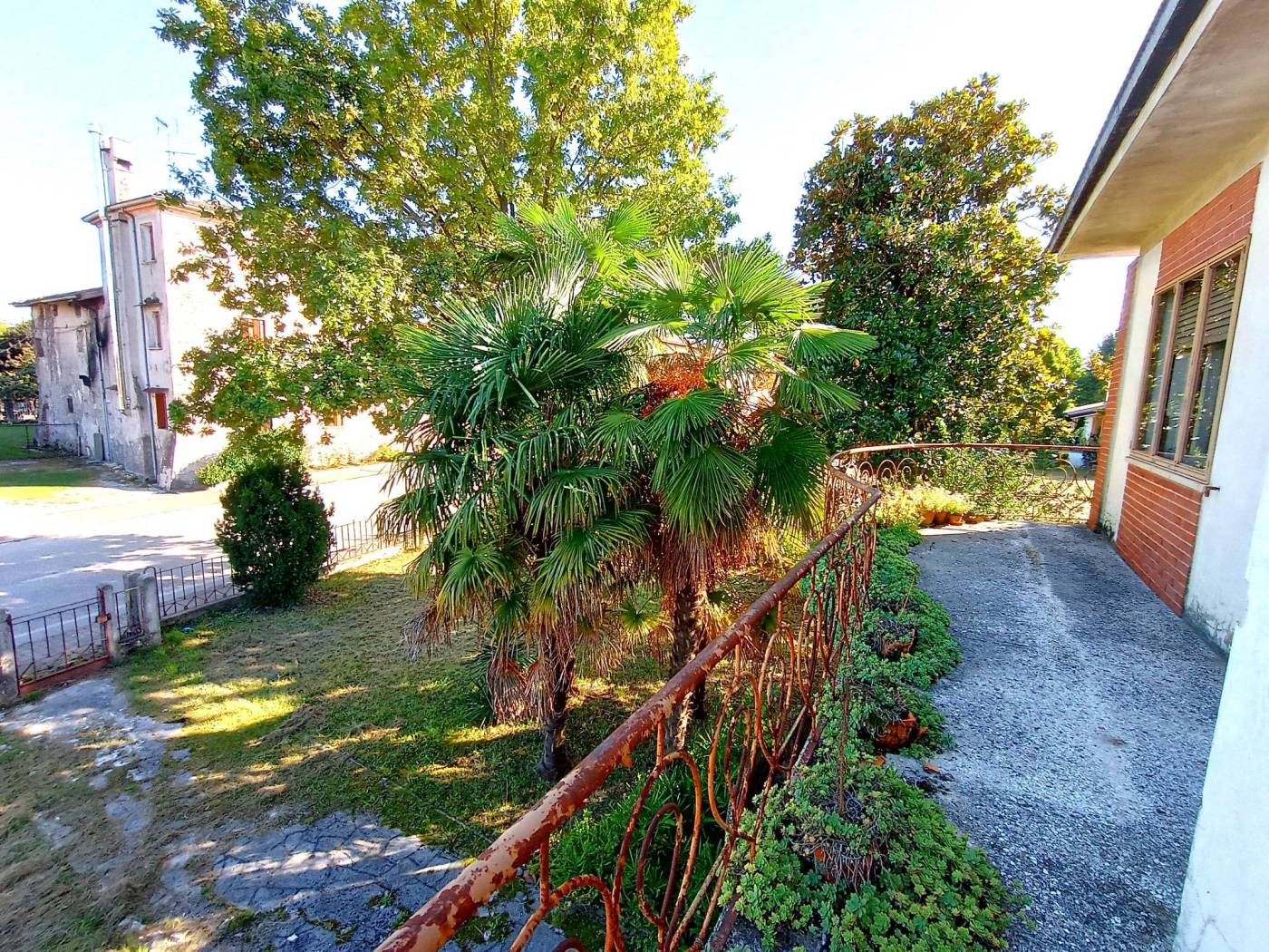Giardino
