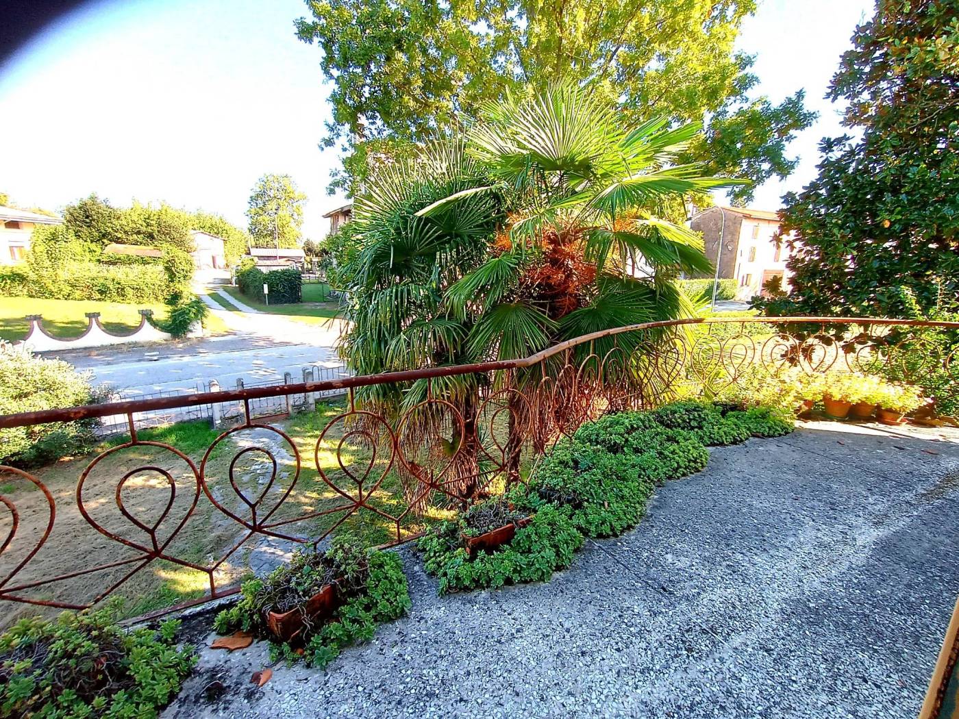 Giardino