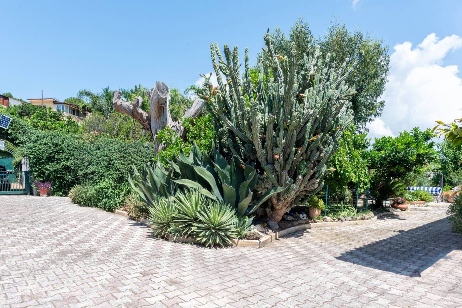 Giardino