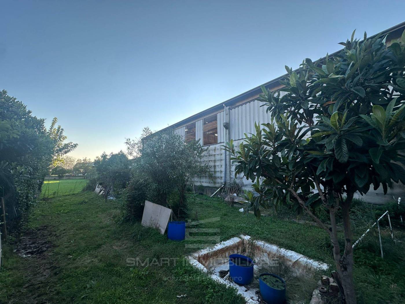 Giardino