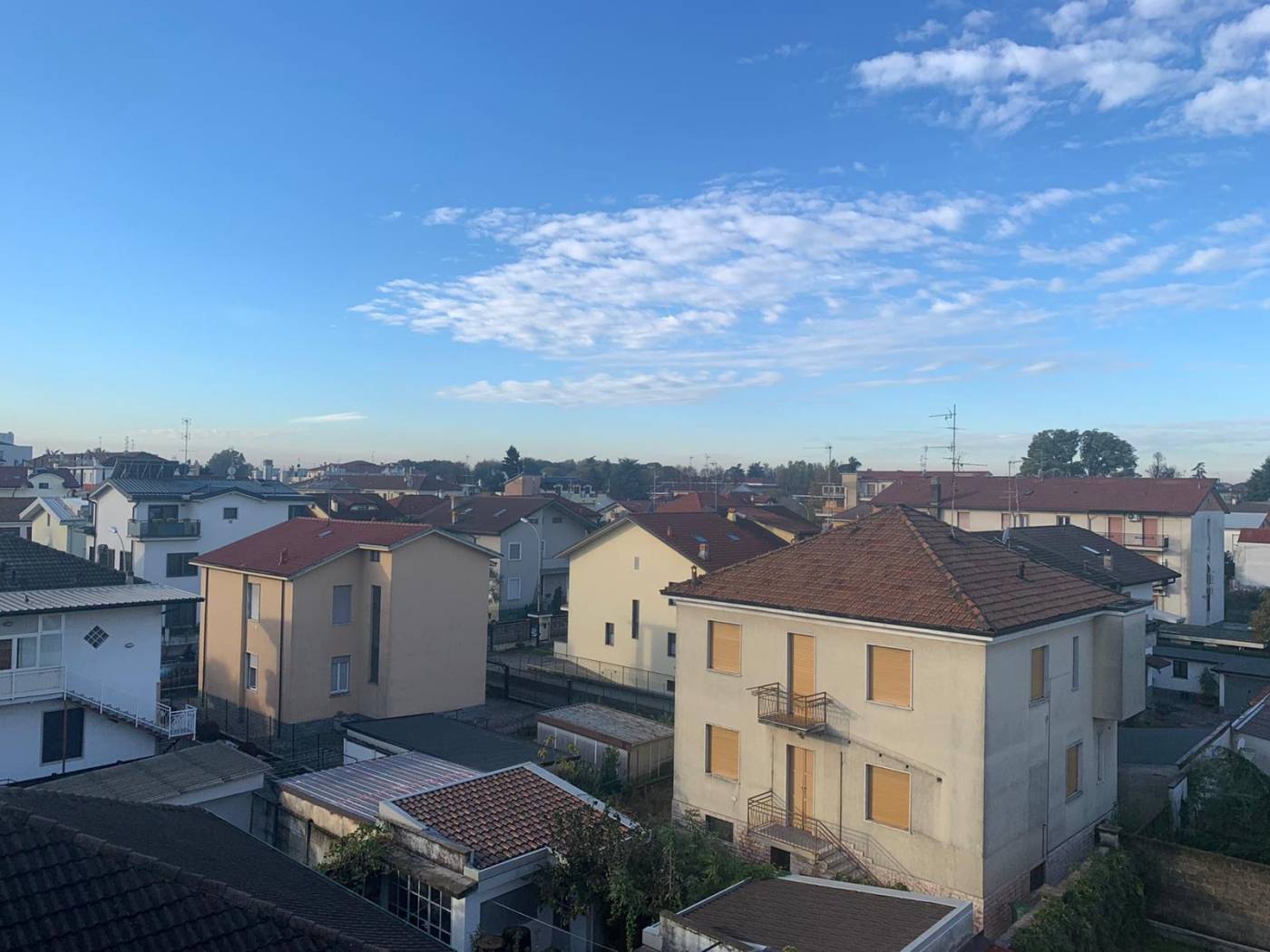 Vista