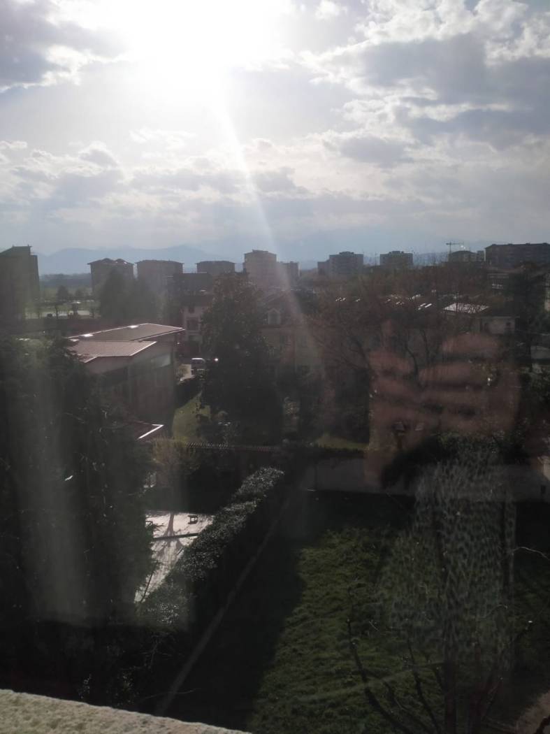 Vista