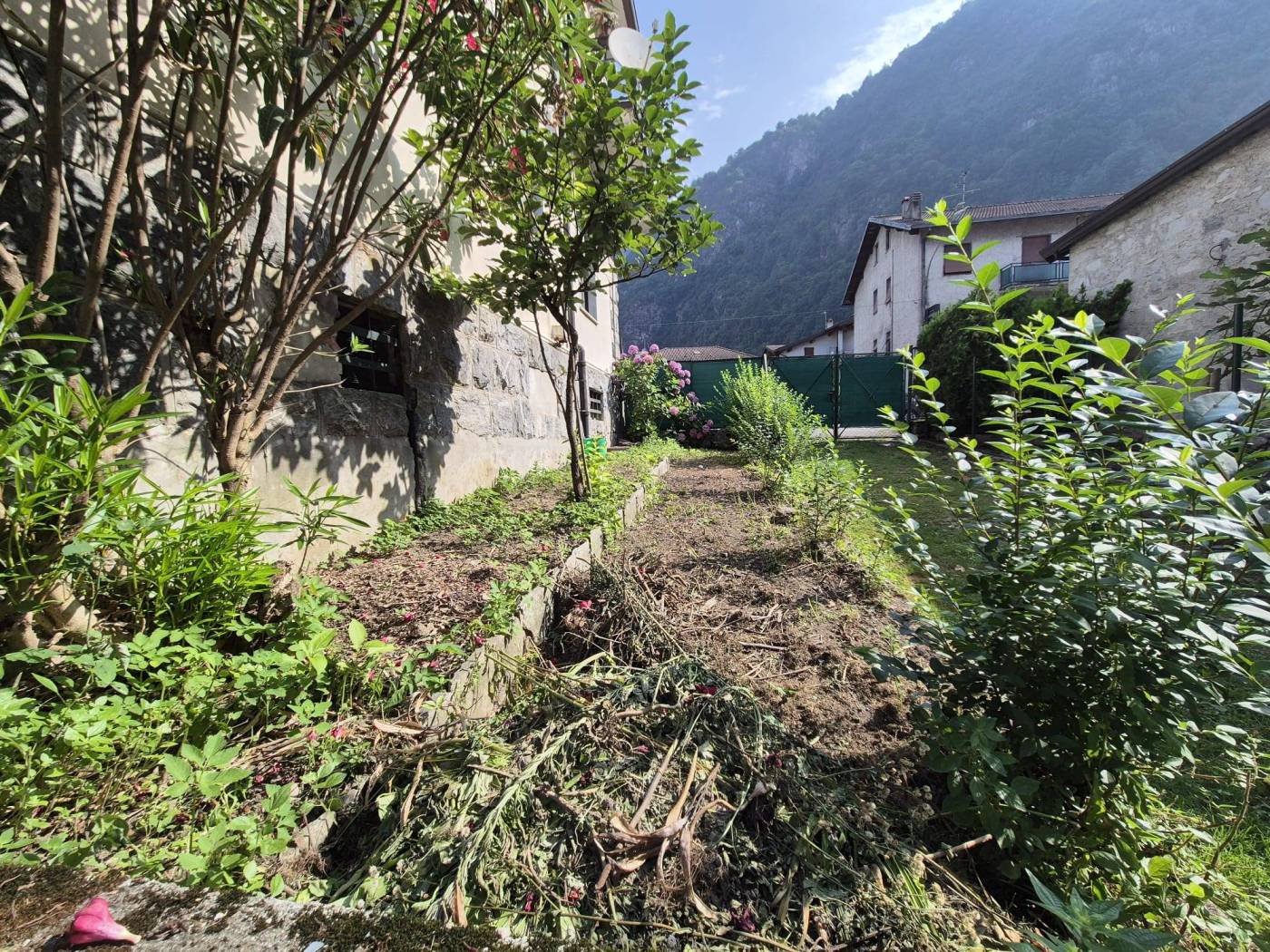 Terreno
