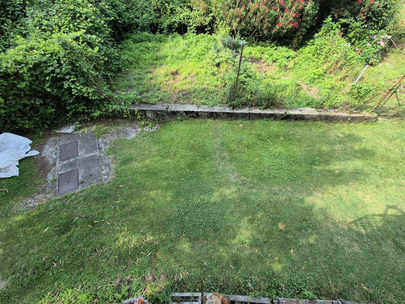 Terreno
