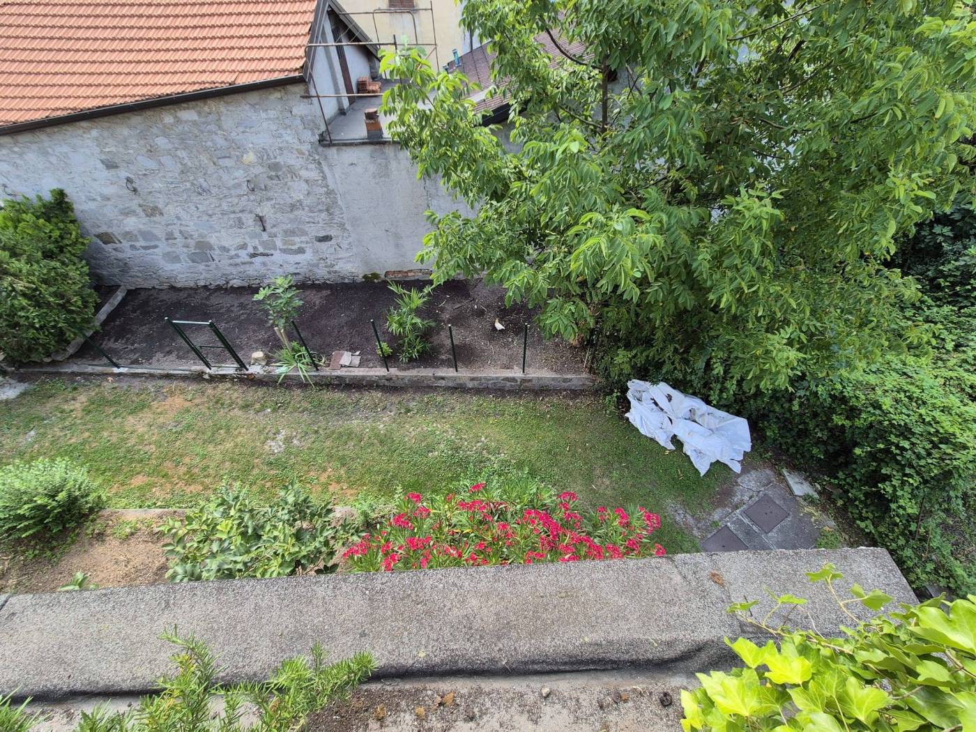 Giardino