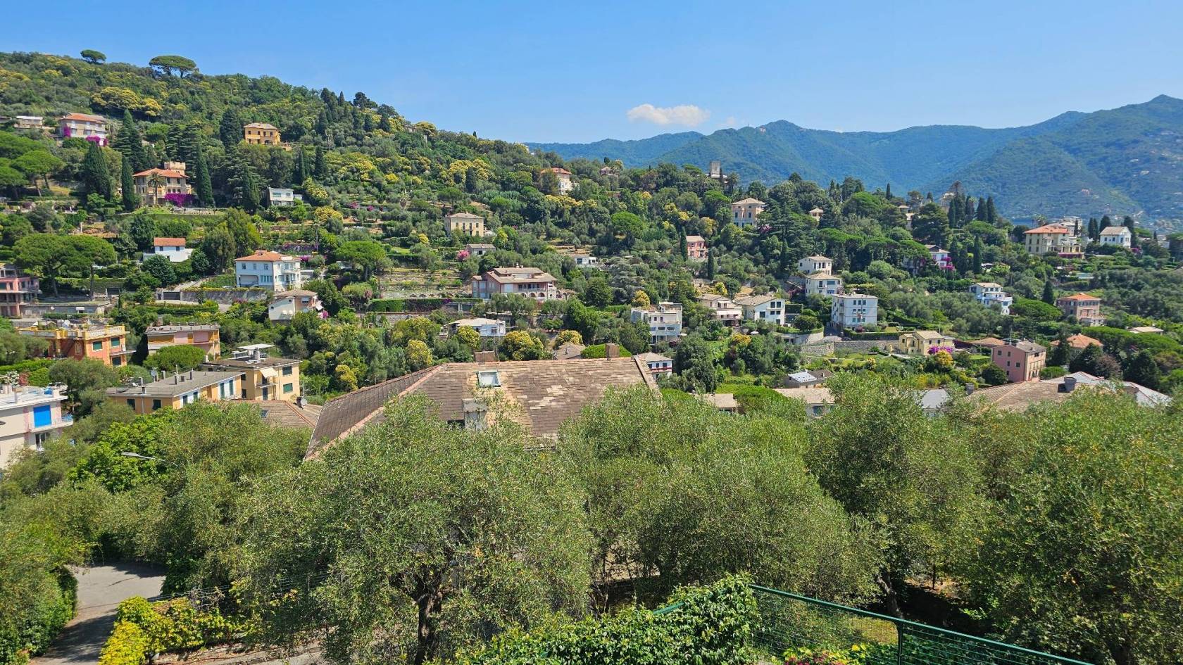 Vista