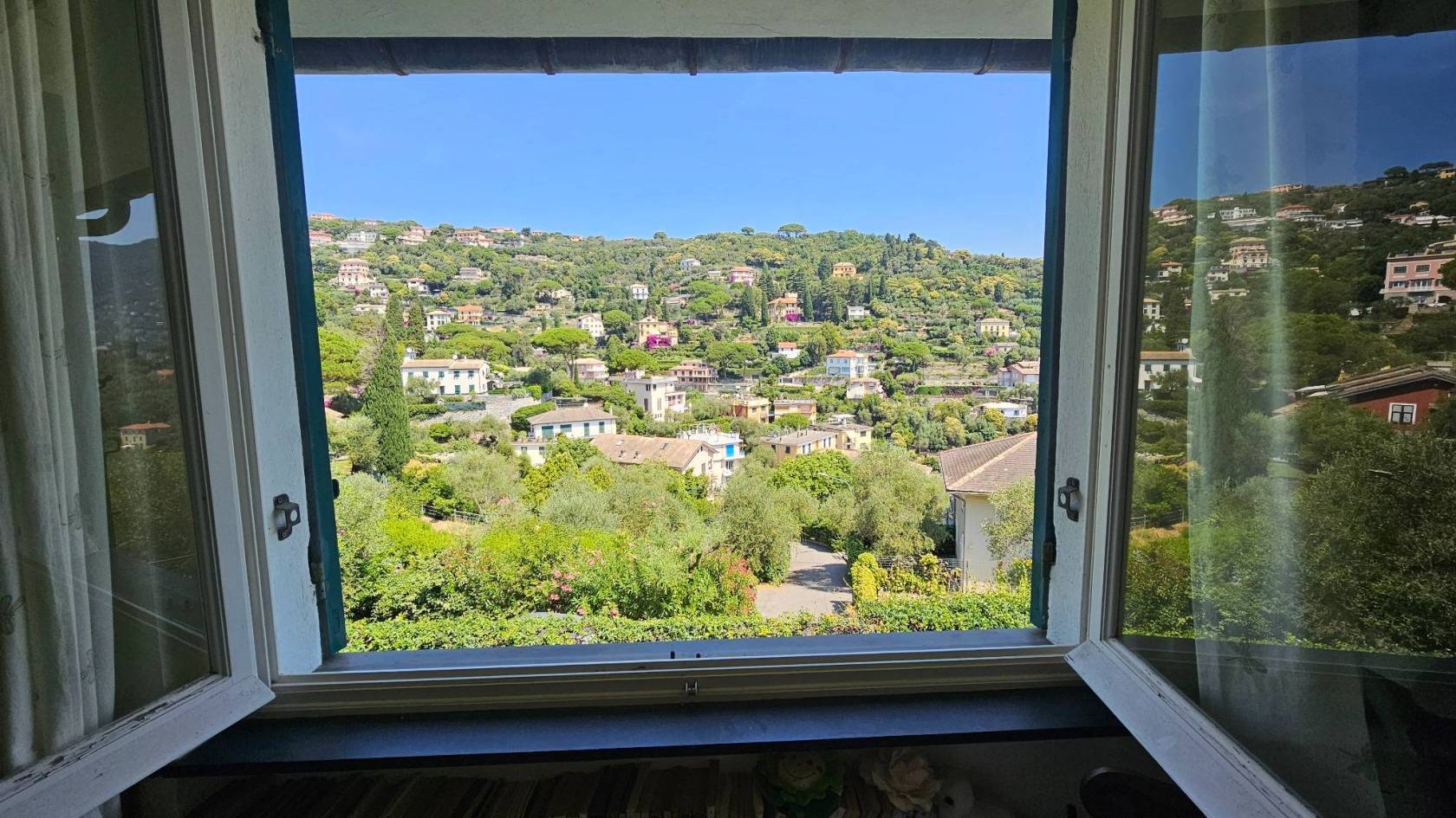 Vista