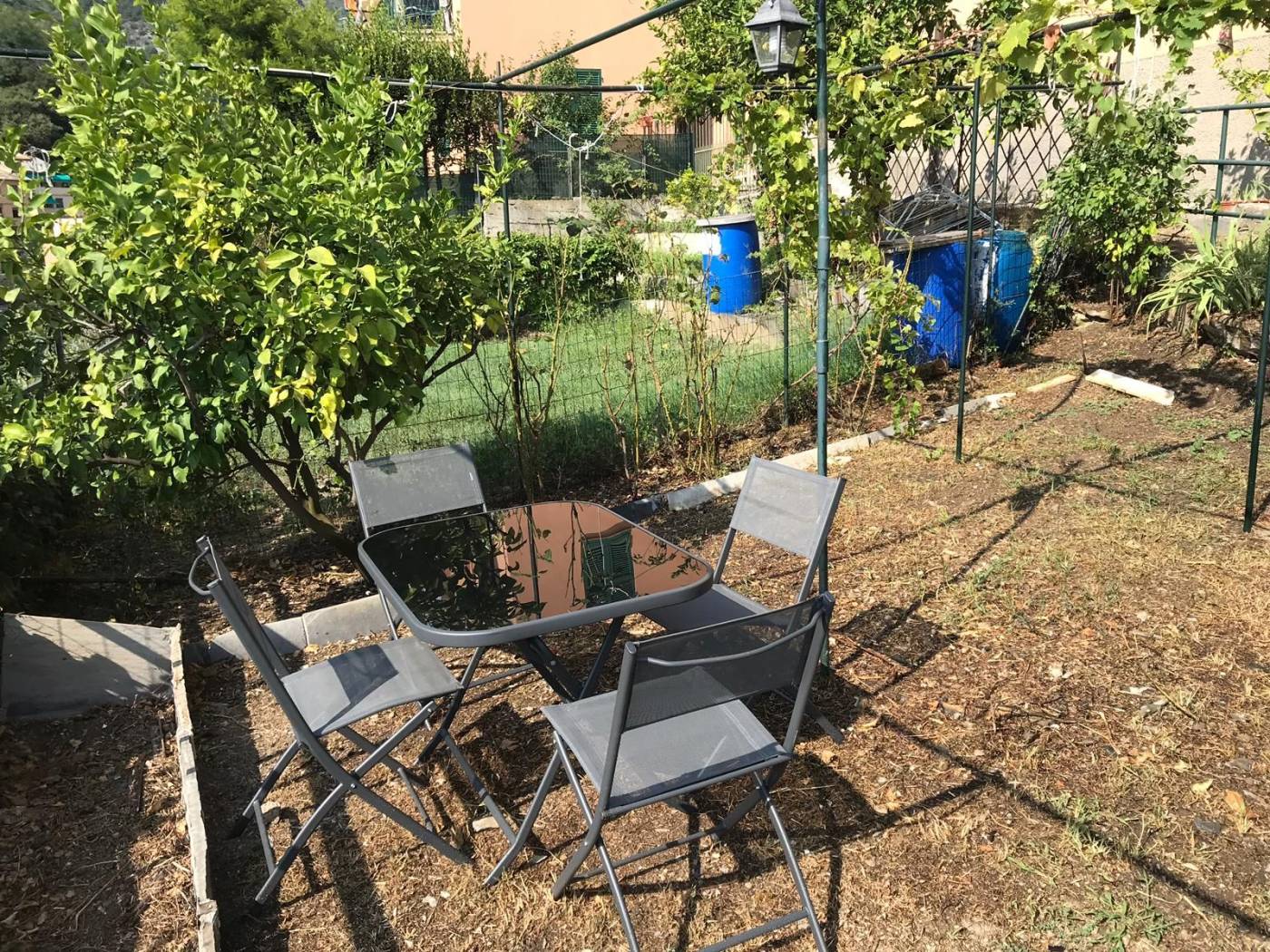 Giardino