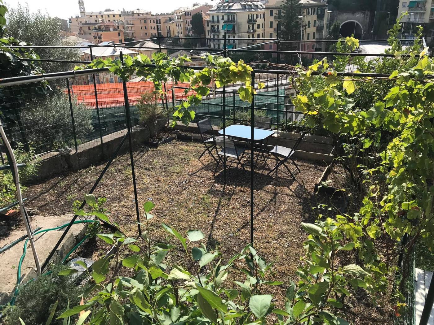 Giardino
