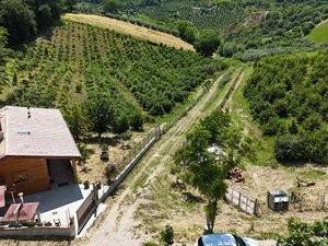 Zona