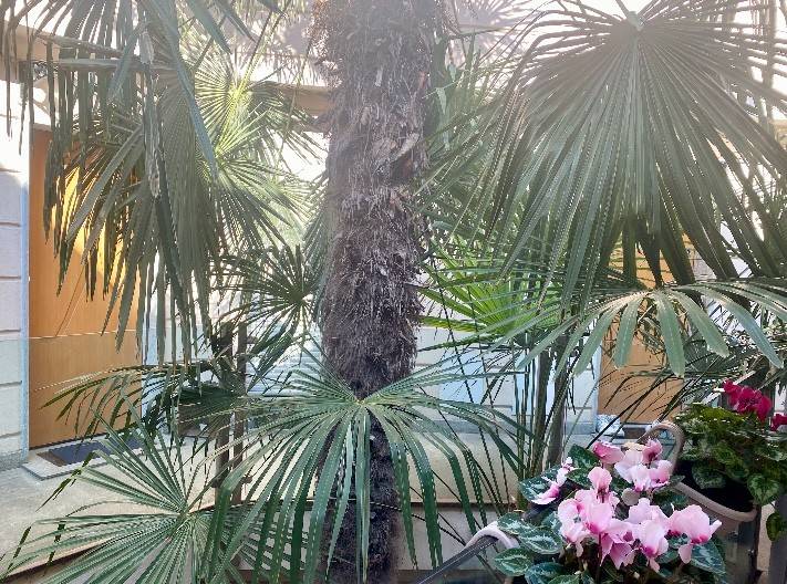 Cortile interno