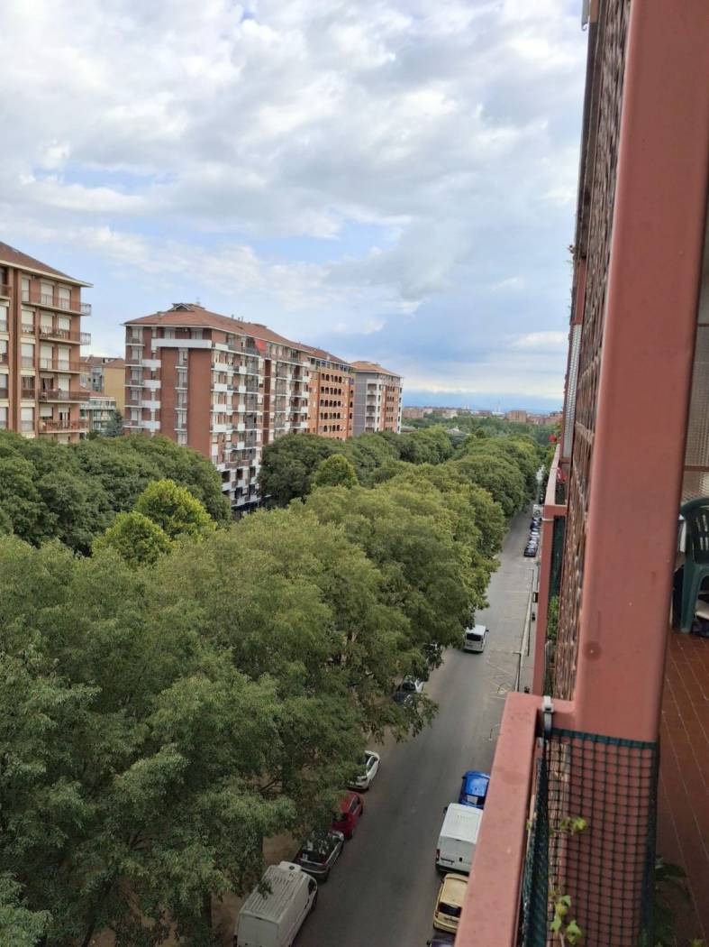 Vista