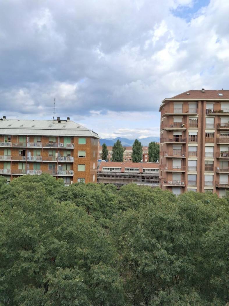 Vista