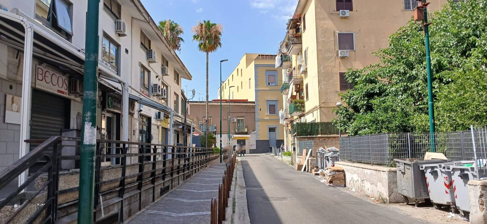 Zona