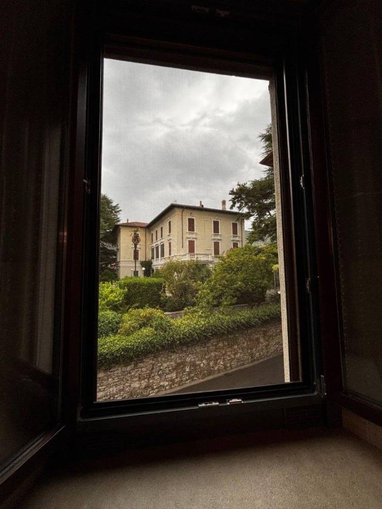 Vista