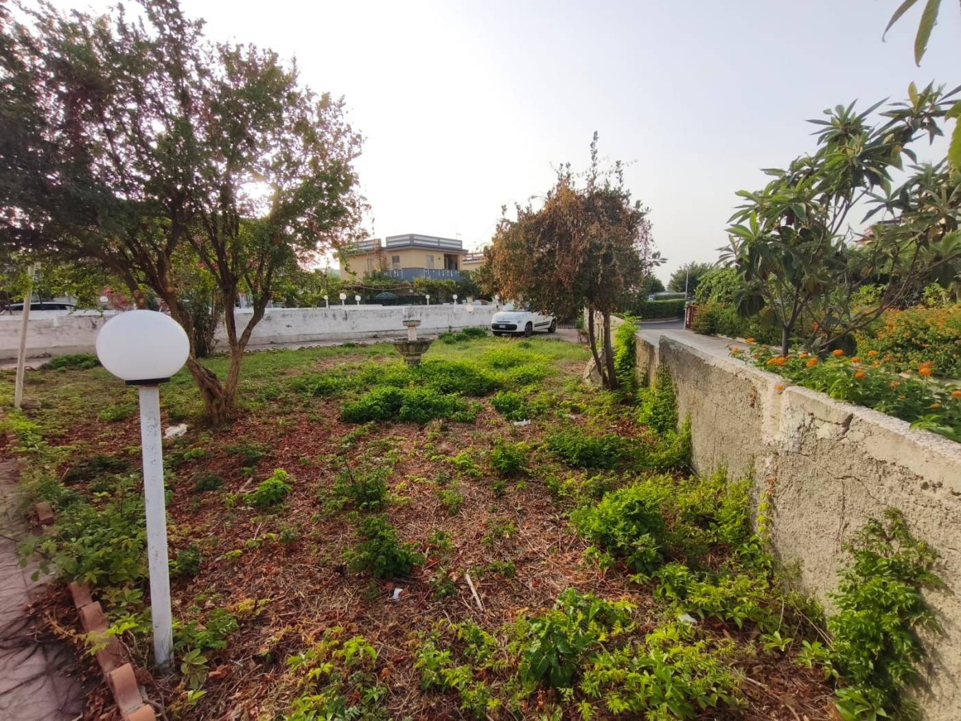 Giardino