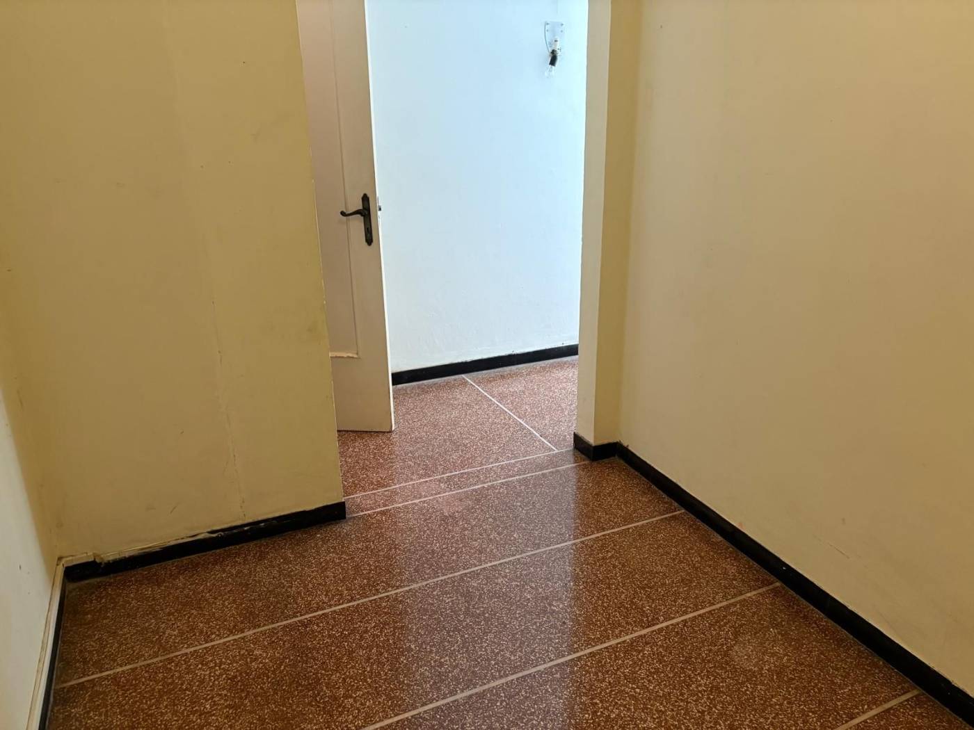 Ingresso