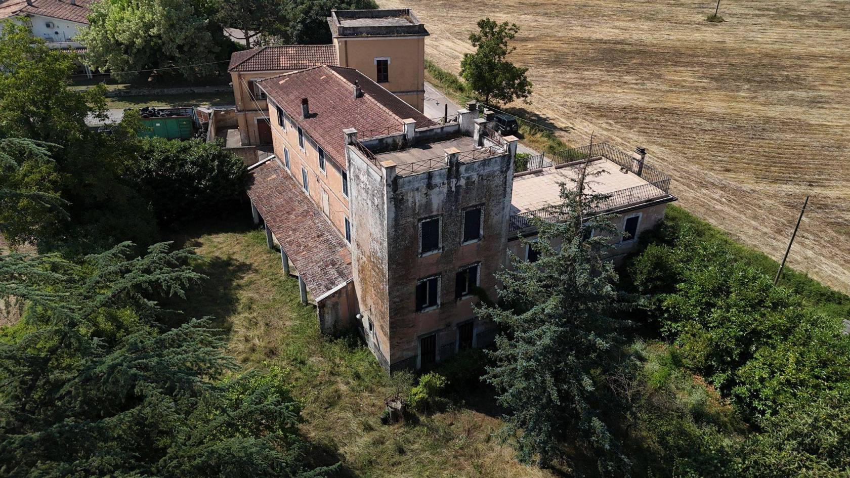 Vista