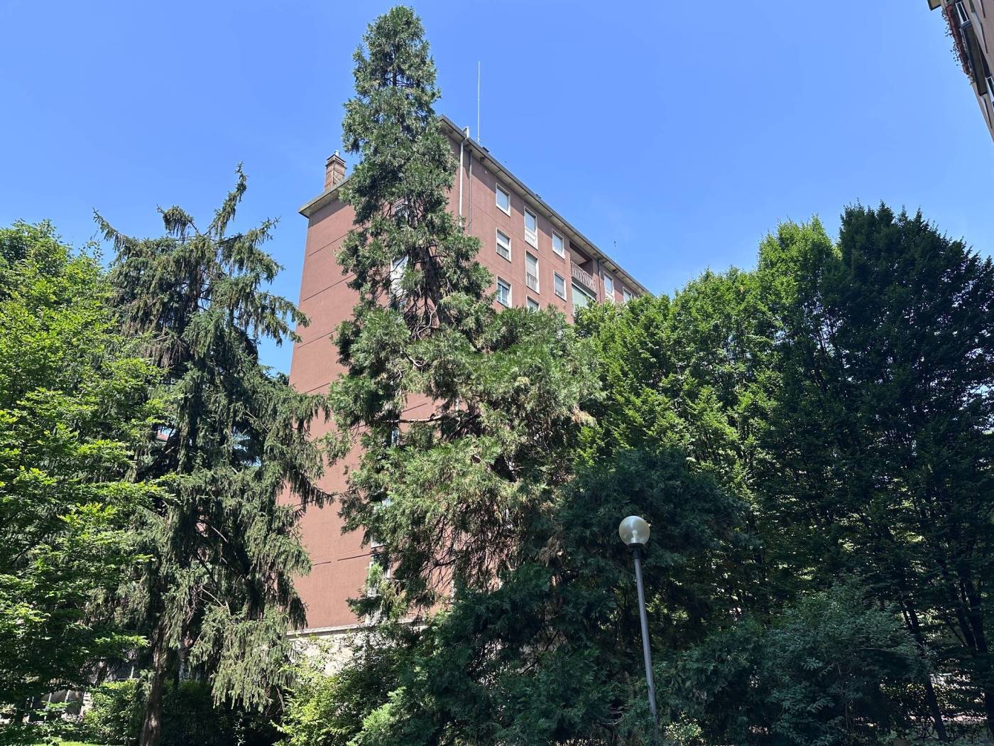 Giardino
