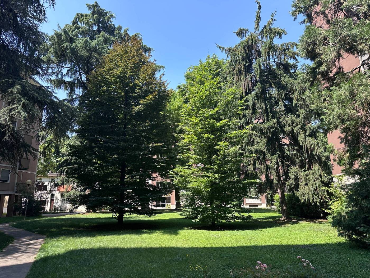 Giardino