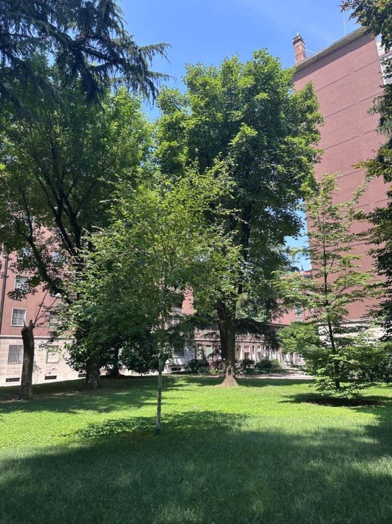 Giardino