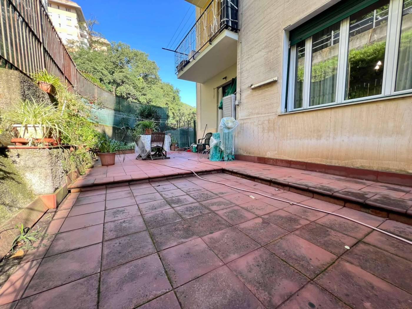 Giardino