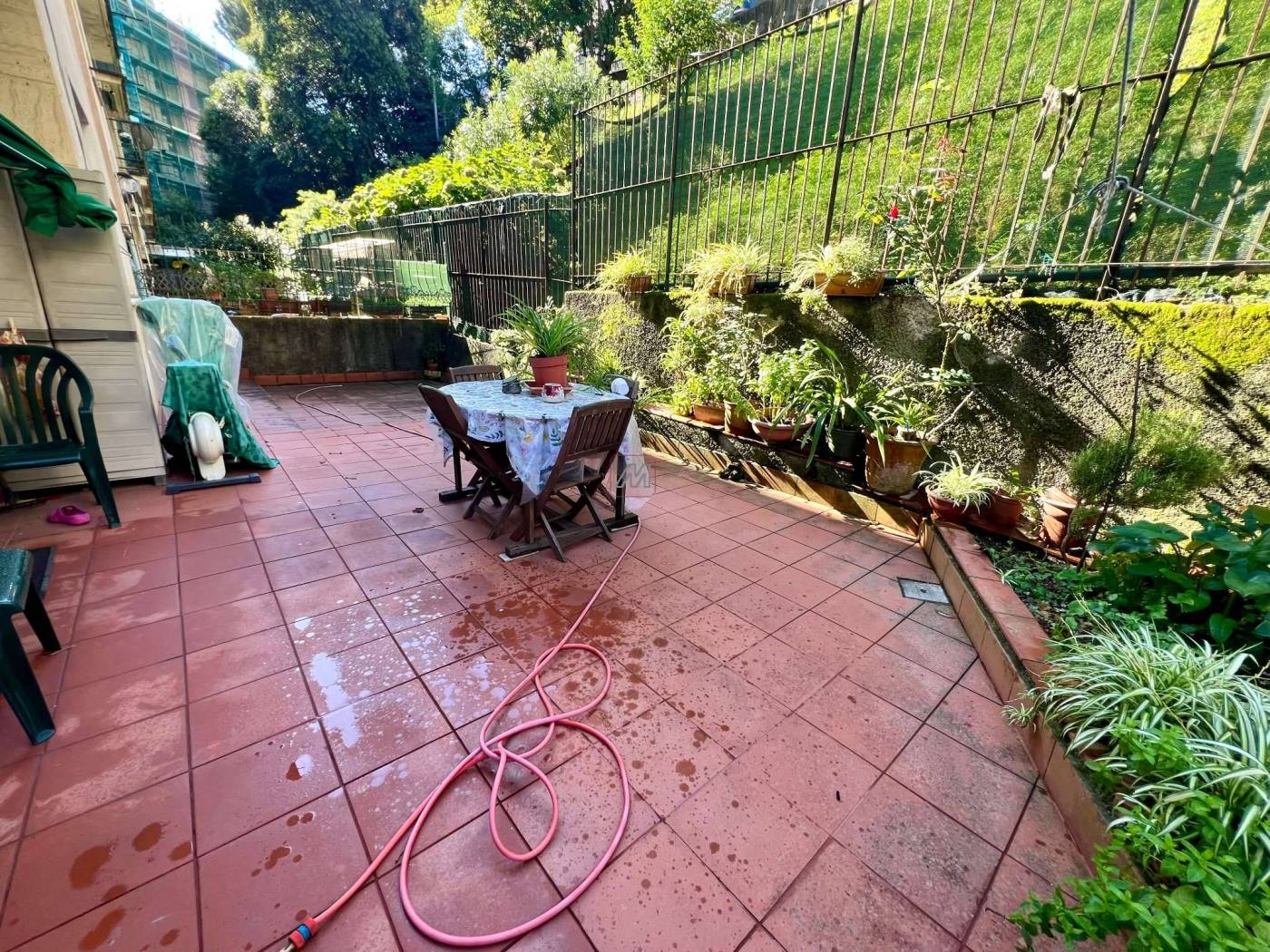 Giardino