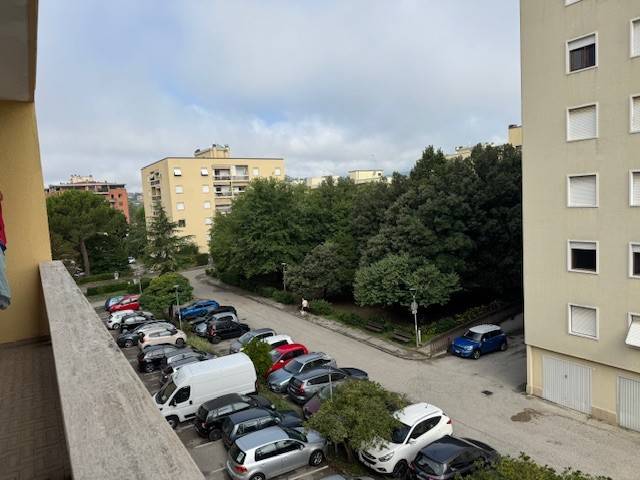 Vista