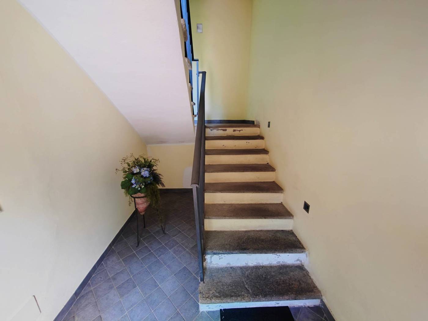 Ingresso