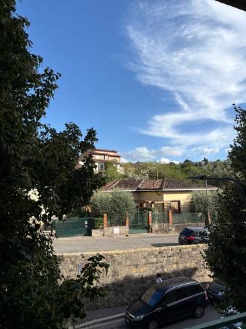 Vista