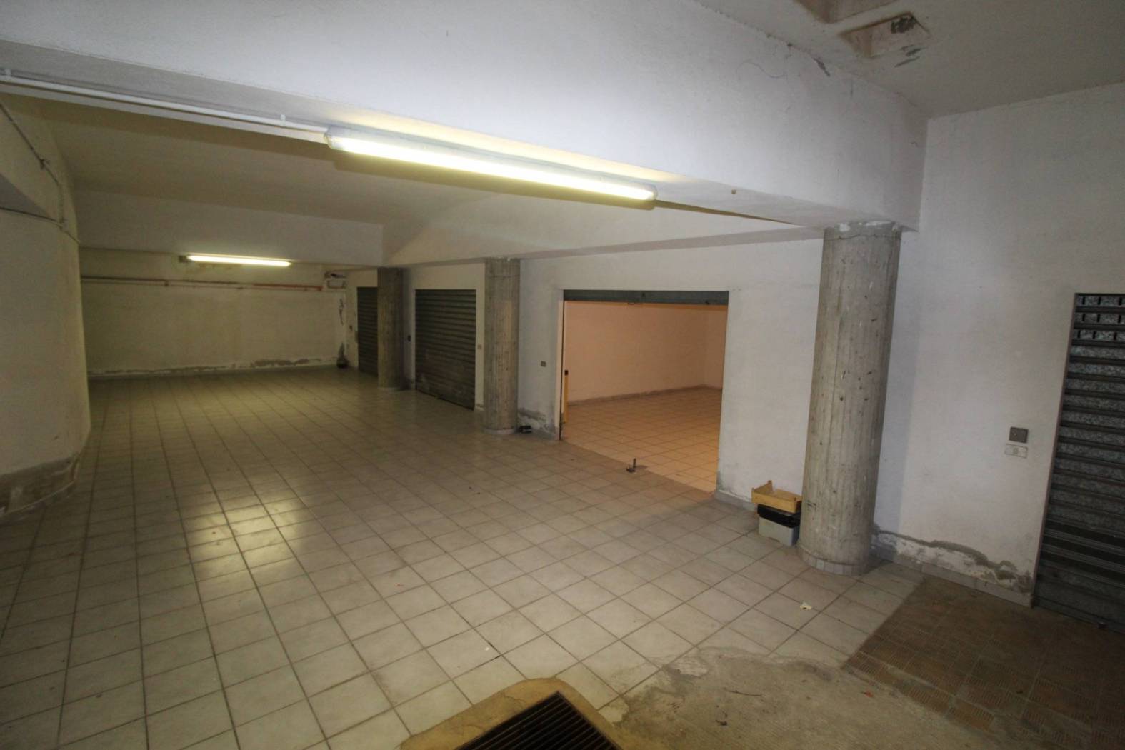 Ingresso