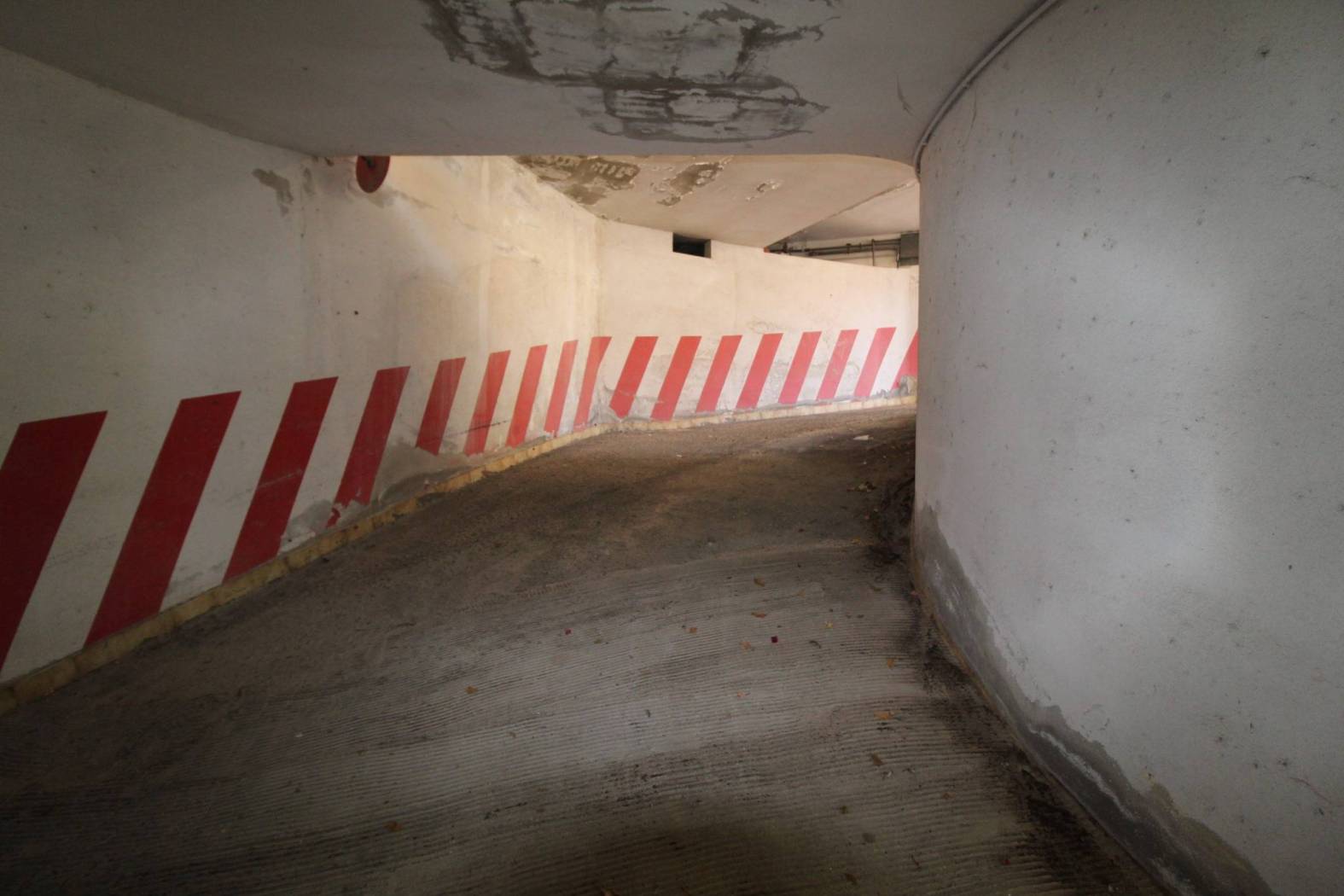 Ingresso