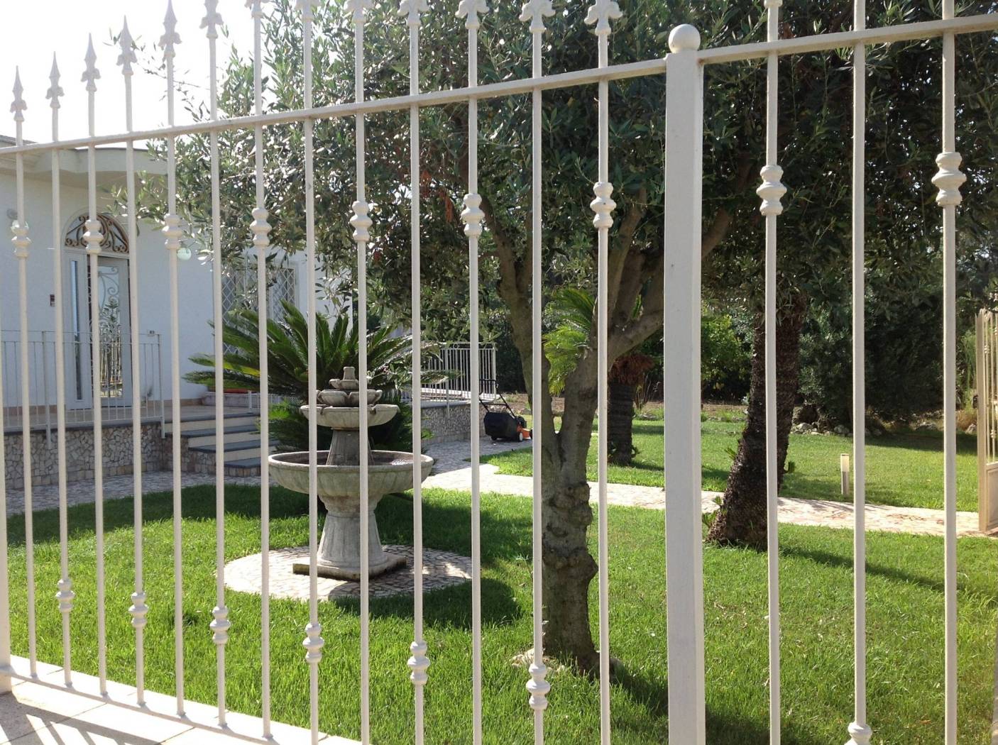 Giardino