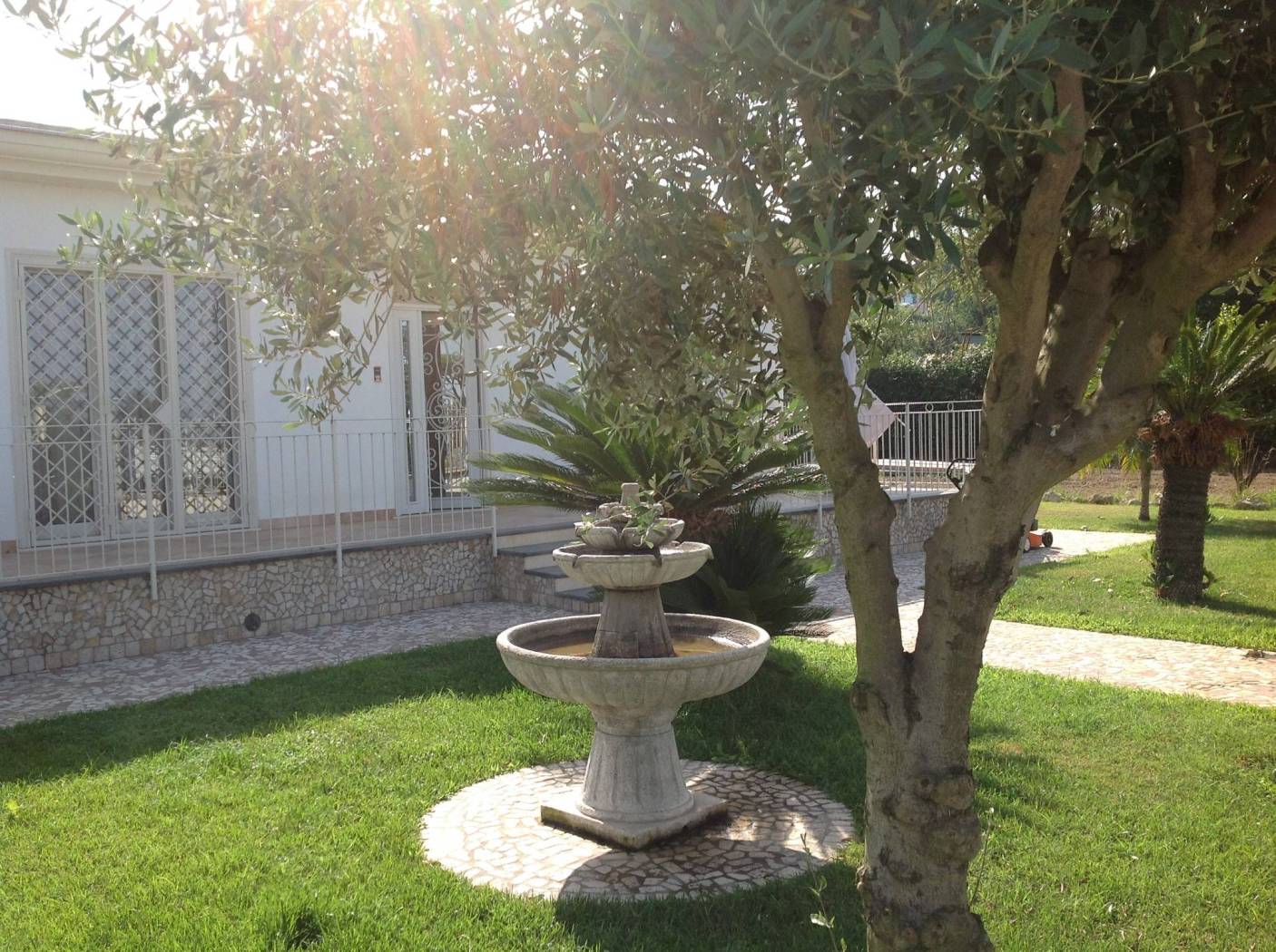 Giardino