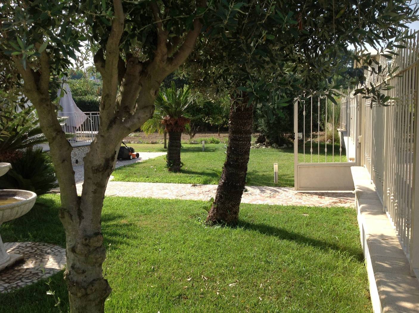 Giardino