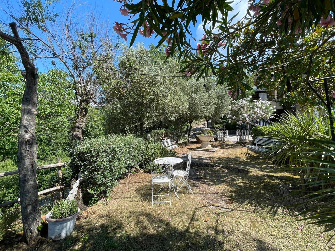 Giardino