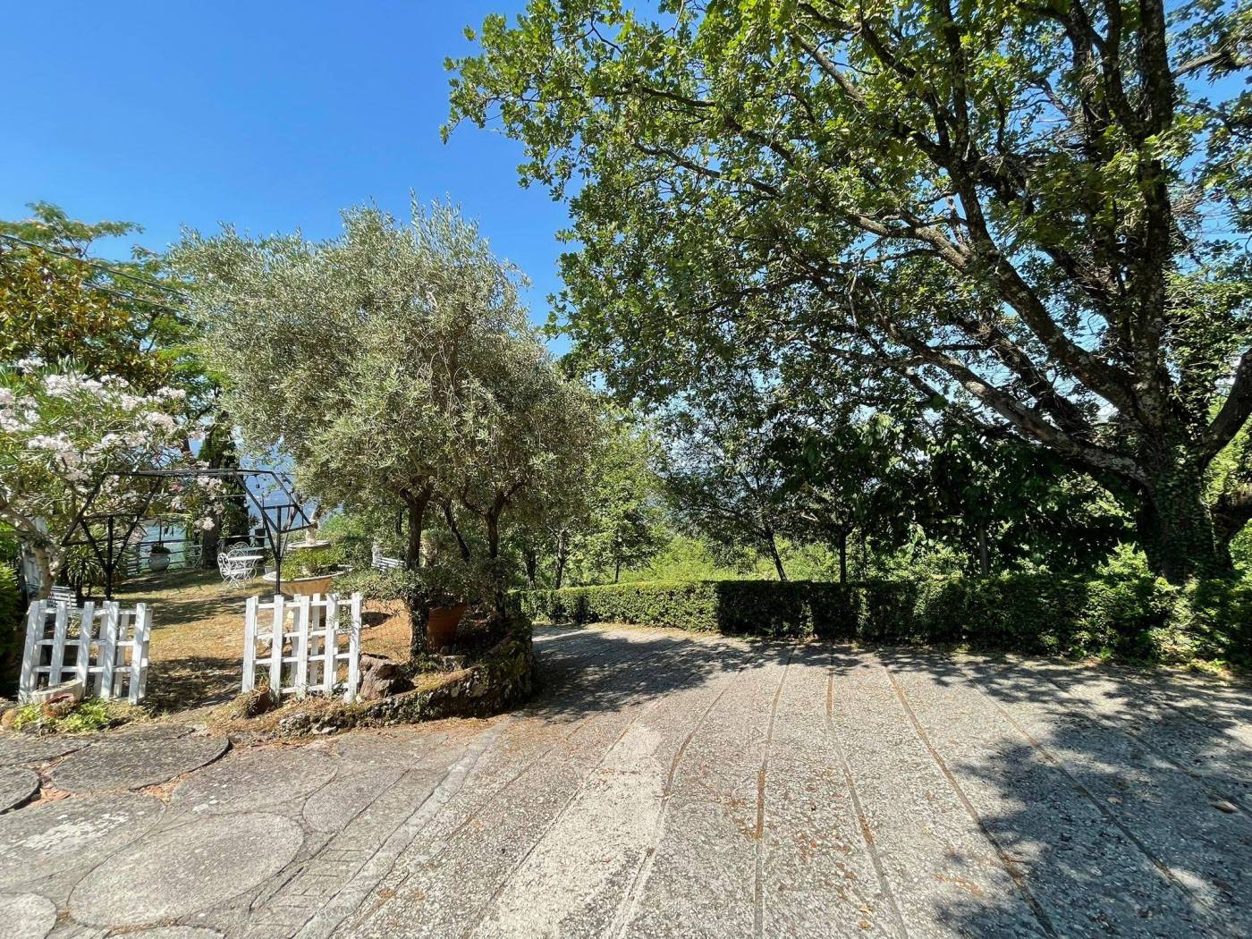 Terreno