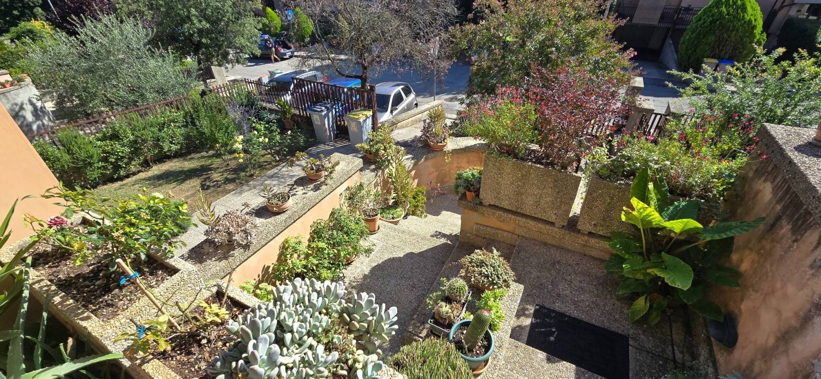 Giardino