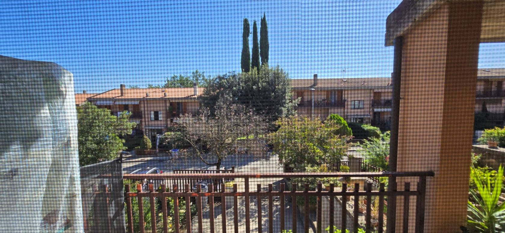 Vista