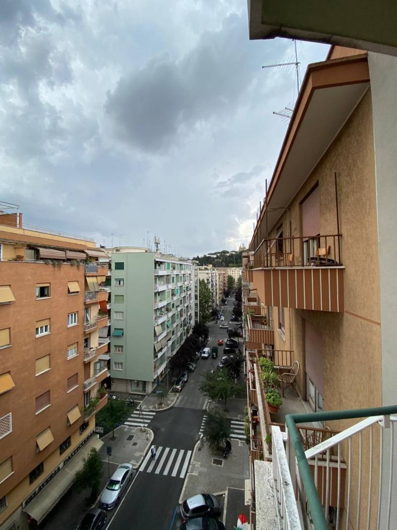 Vista