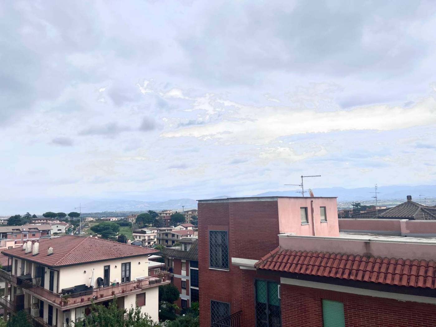 Vista