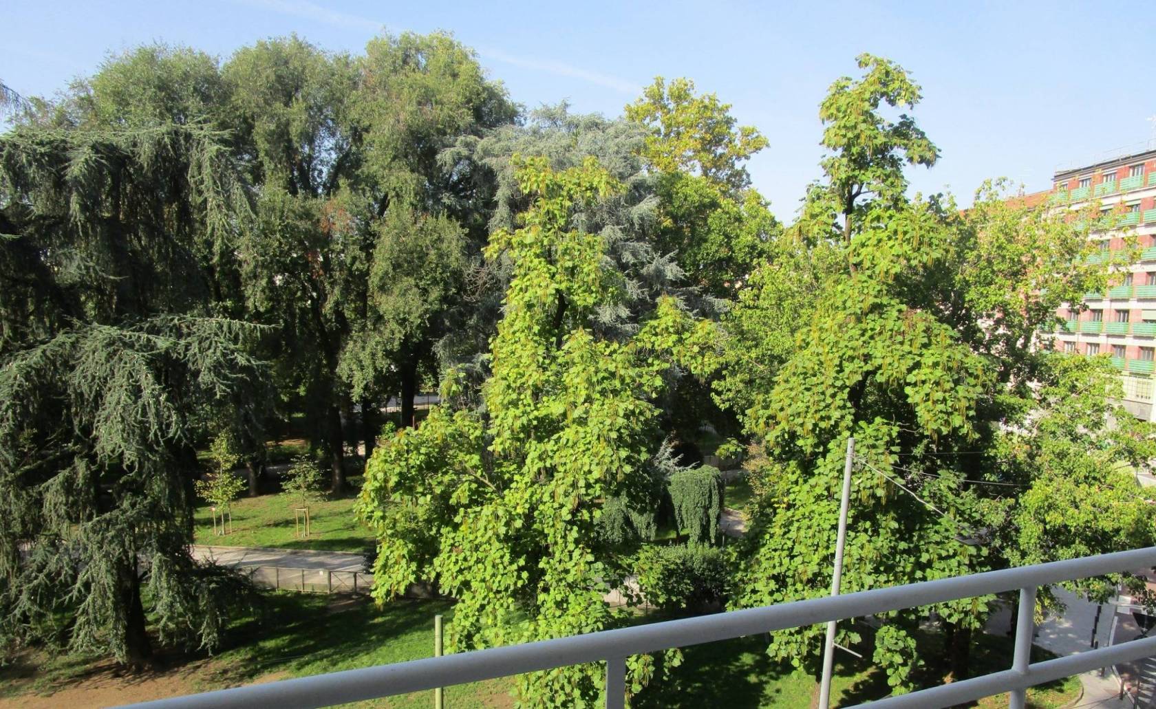 Vista