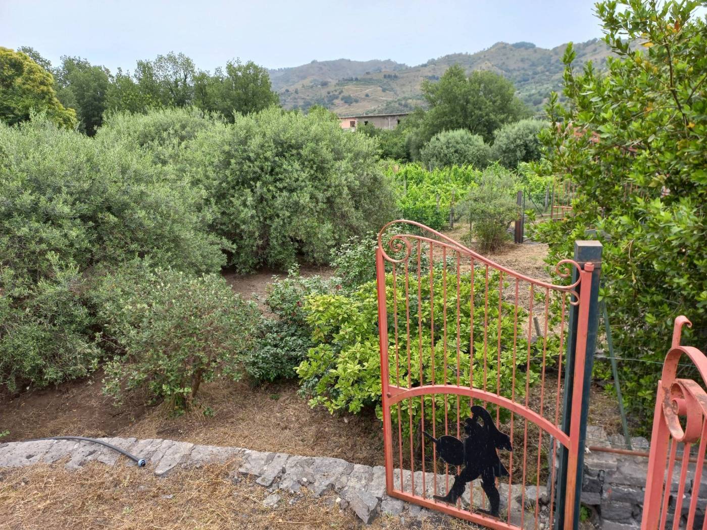 Terreno