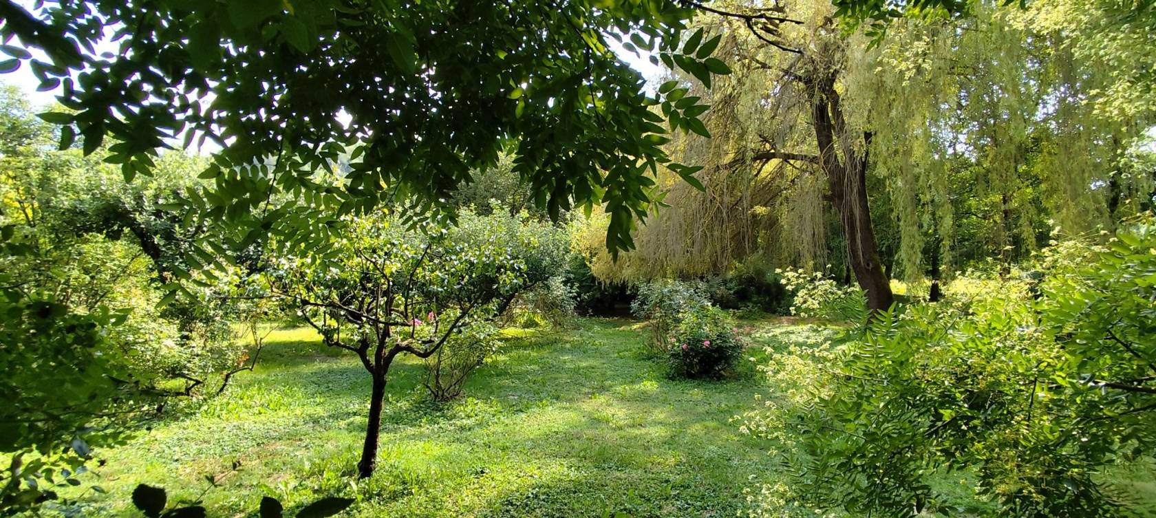 Giardino