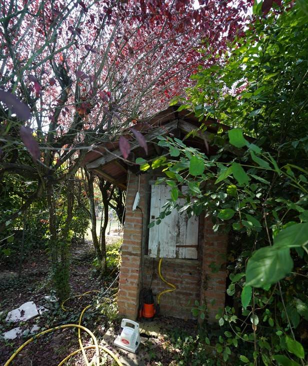 Giardino