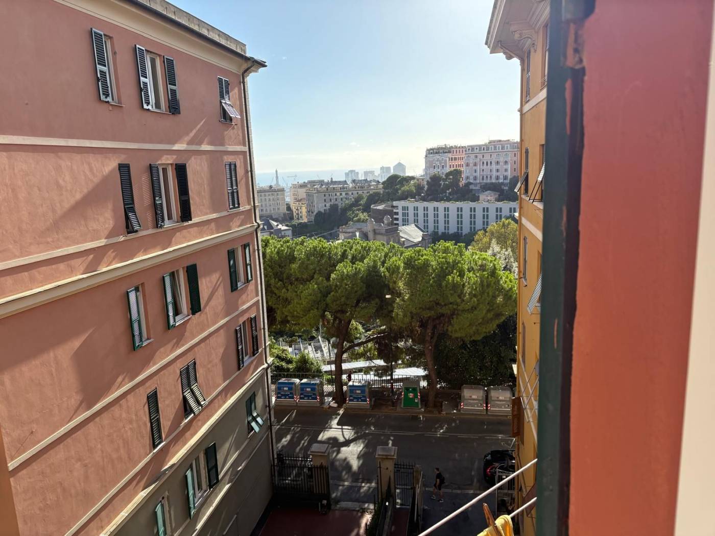 Vista