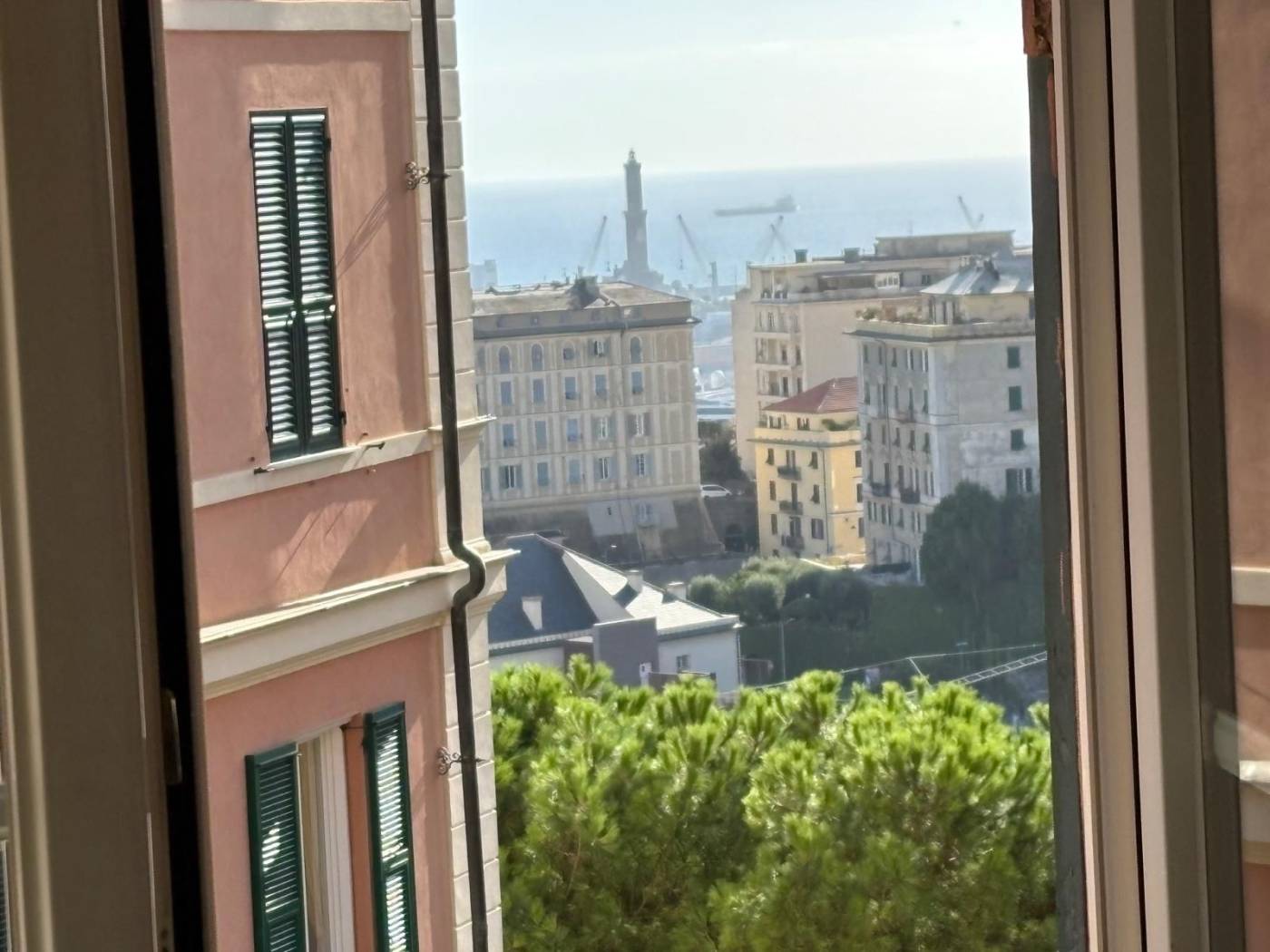 Vista