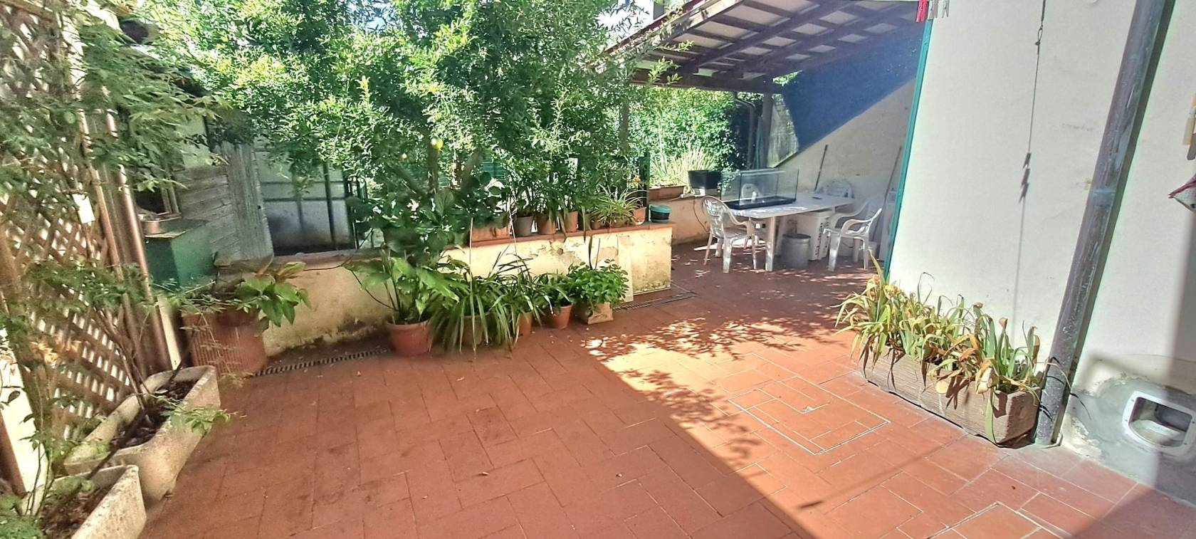 Giardino