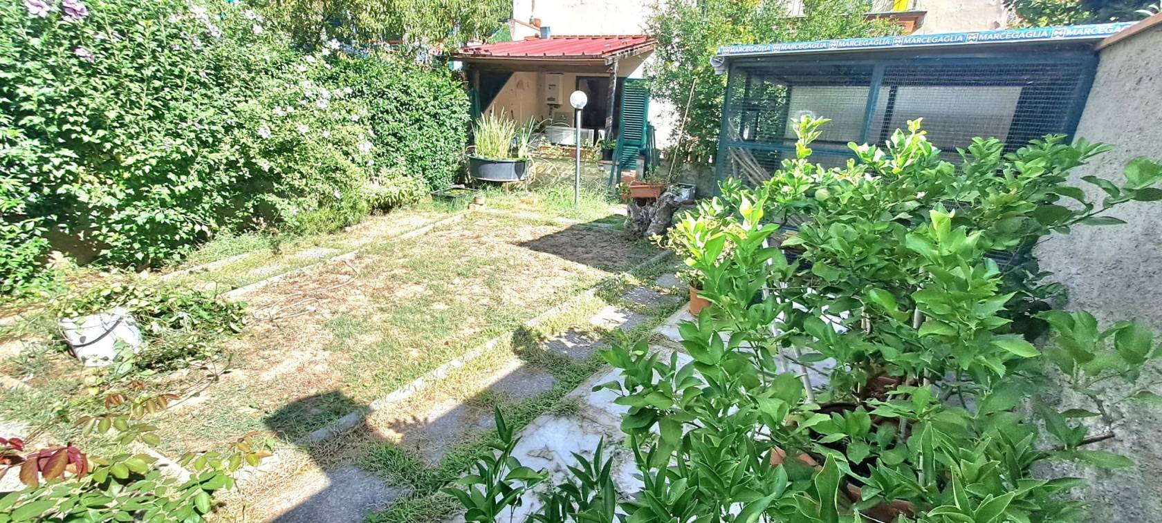 Giardino