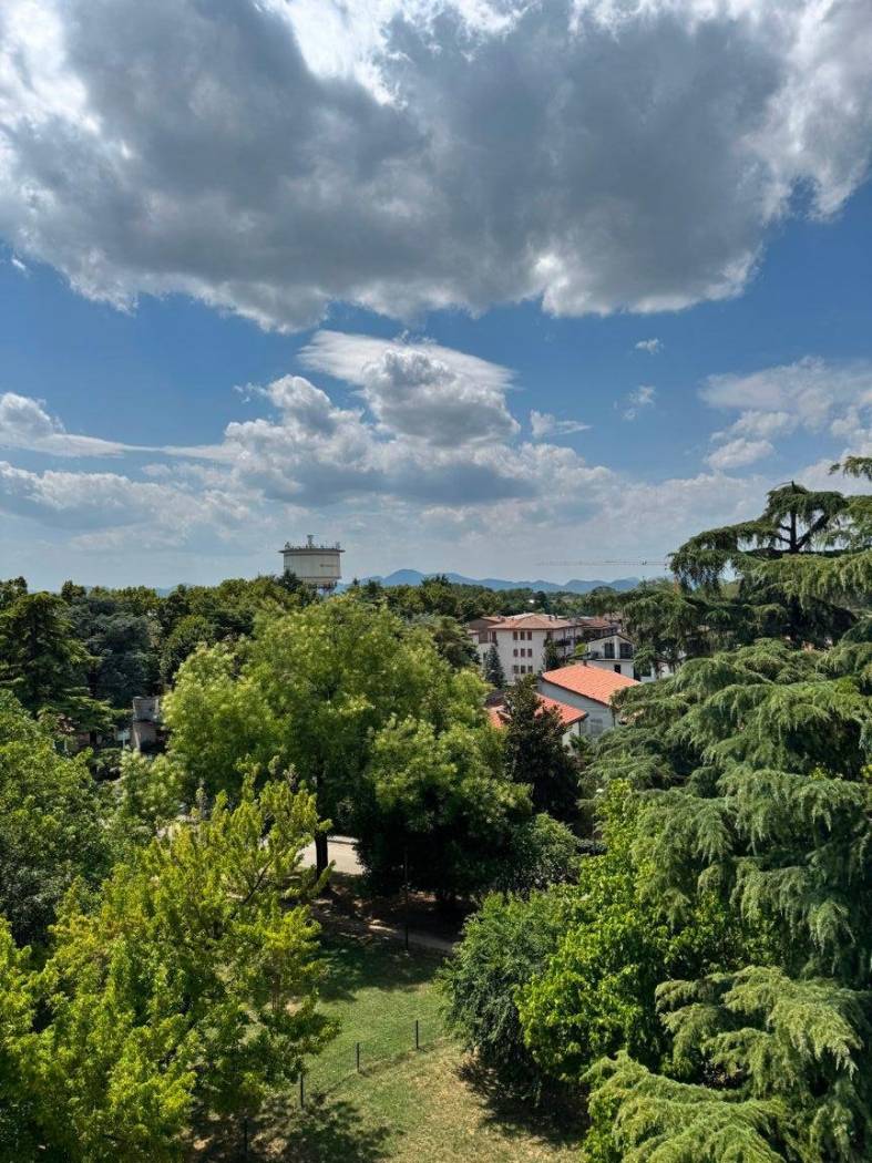 Vista